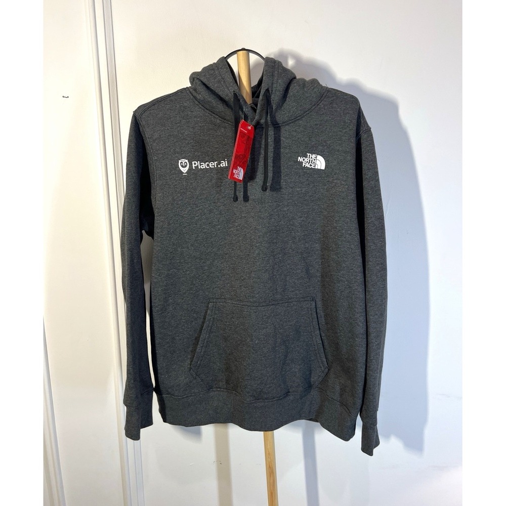 The North Face Placer.ai Hoodie Mens Small Gray Pullover Logo Corporate NWT